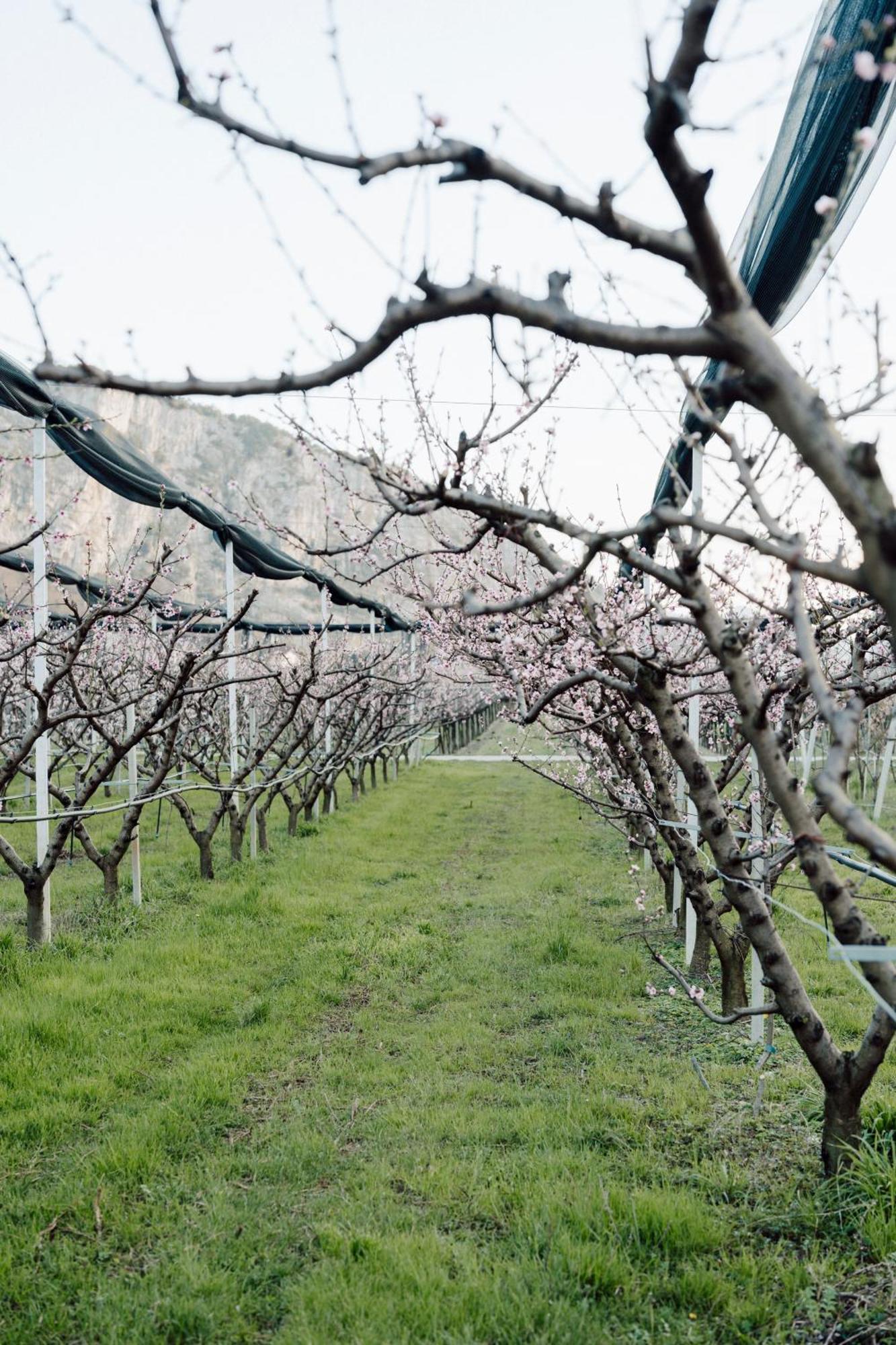 Appartamenti Maso Giare Arco Bagian luar foto